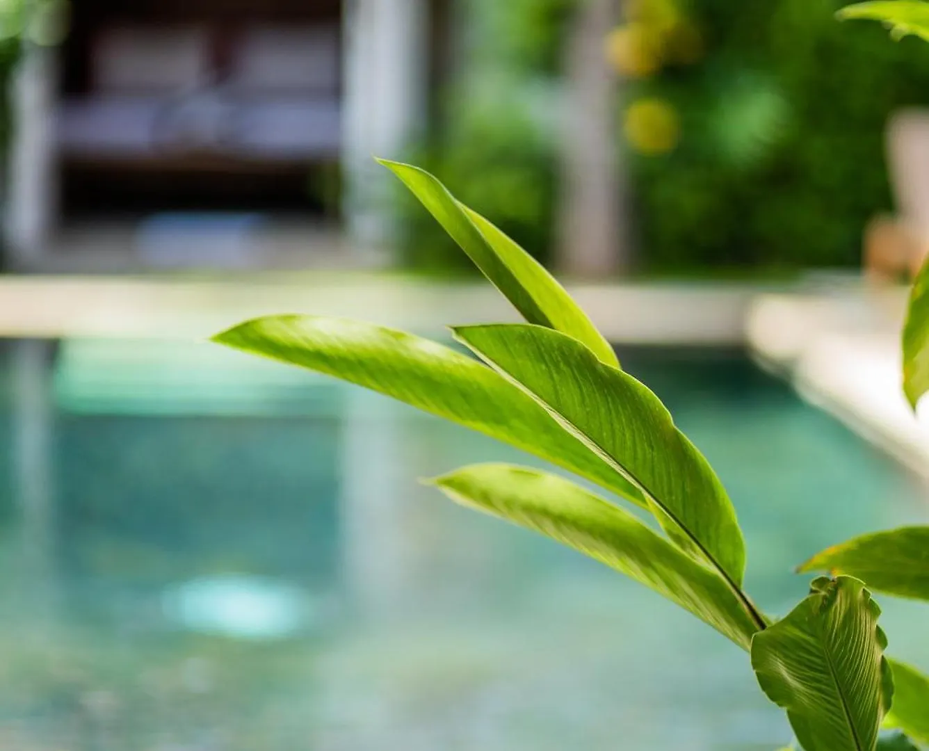Villa Maxceo - 3Br Poolvilla Near The Beach Canggu  Canggu (Bali)
